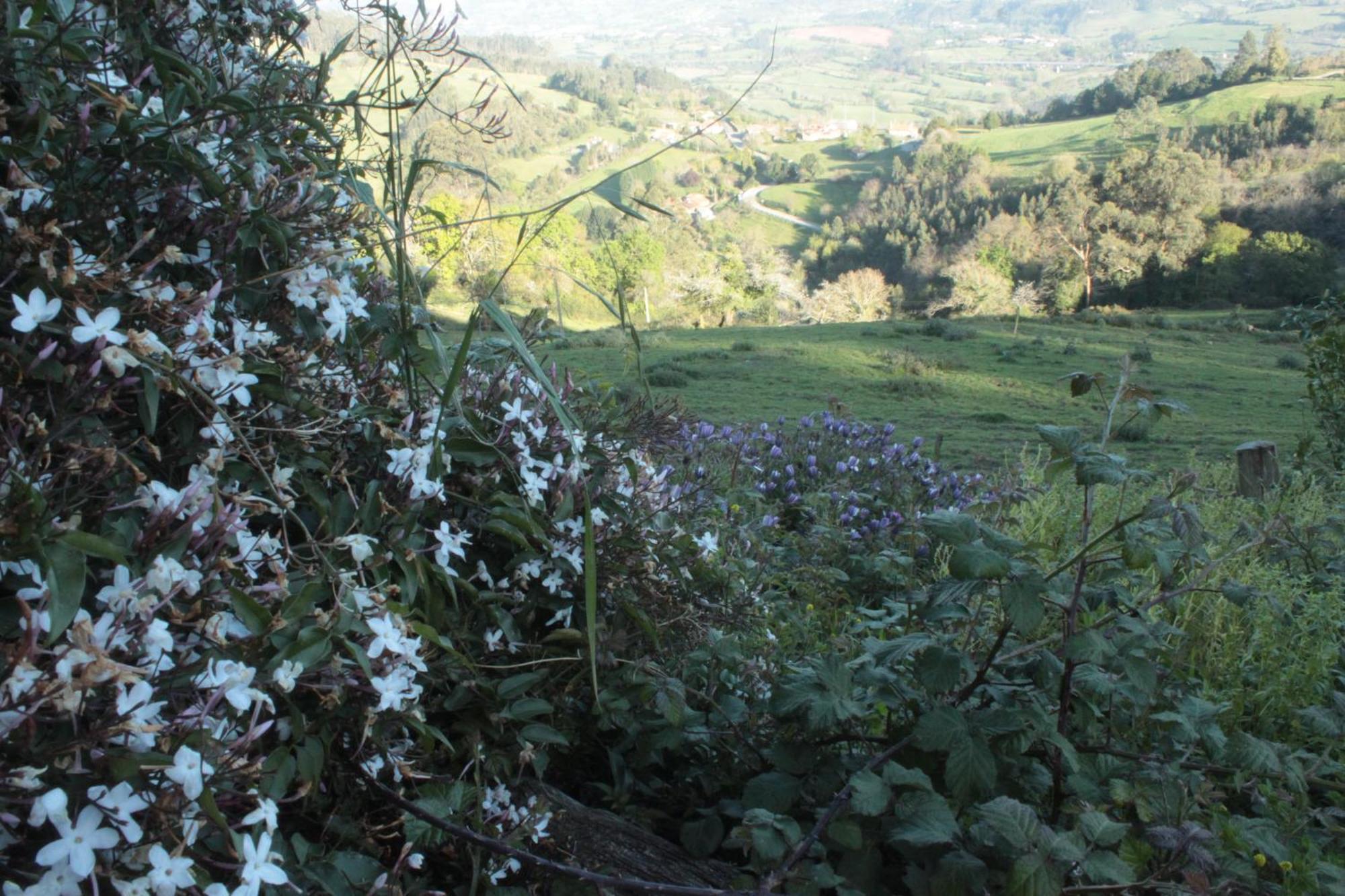 Alojamientos Rurales Pena Crespa Tresvilla Dış mekan fotoğraf